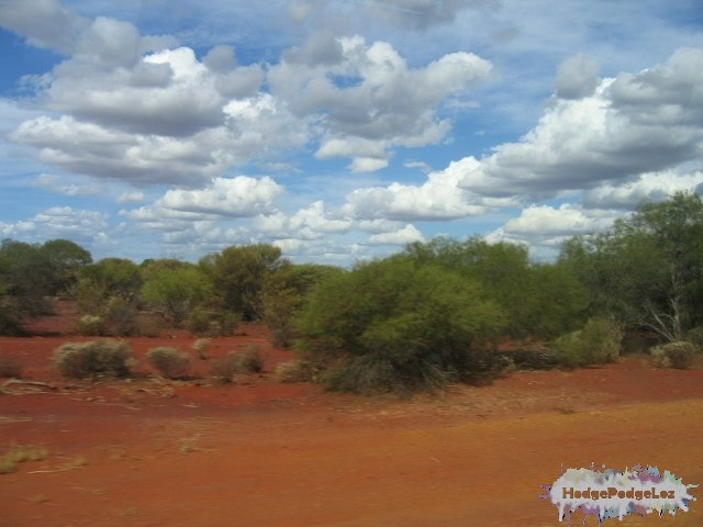 Australian Bush landscape