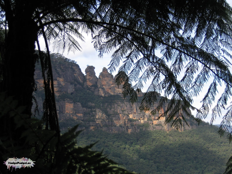 Shot through fern tree of the Three Sisters in the Blue Mountains, Australia. 