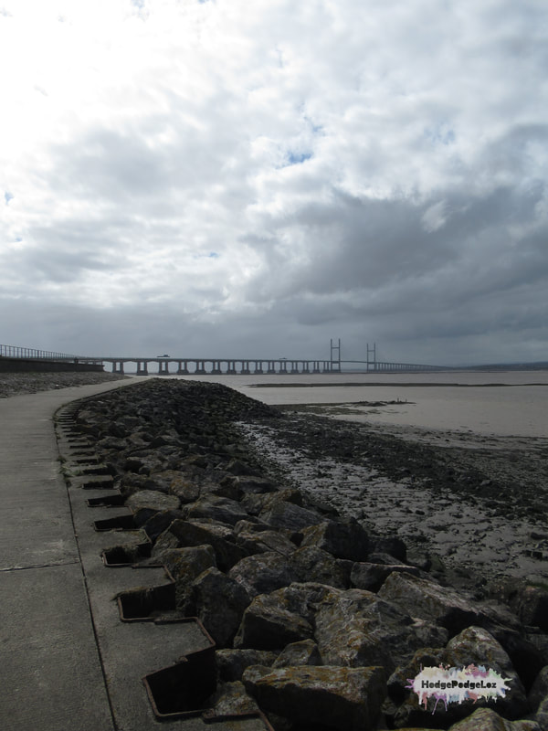 A photograph of the Prices of Wales Bridge (Second Severn Crossing)