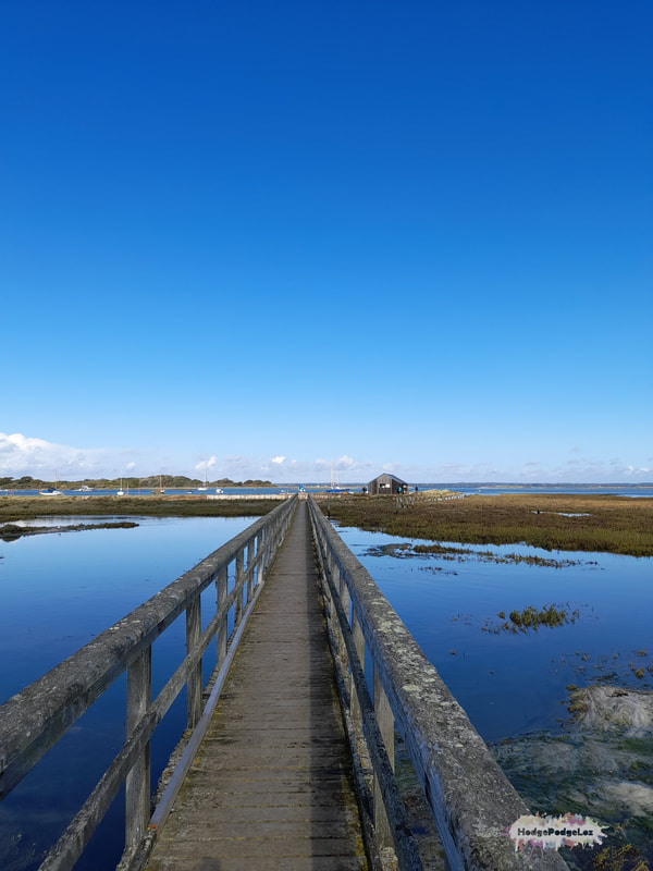 Photograph of a long bridge to a fishermans hut in the middle of Newton Nature Reserve. Blue skies and blue water