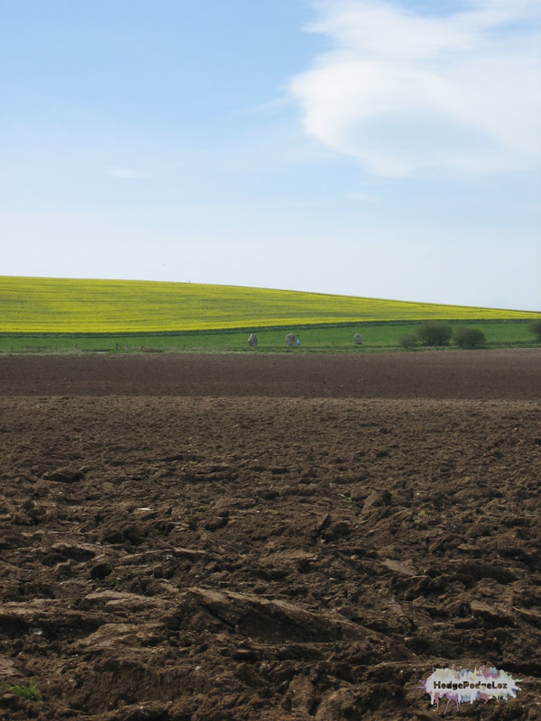 Photograph of ploughed field and landscape at Avebury, Wiltshire
