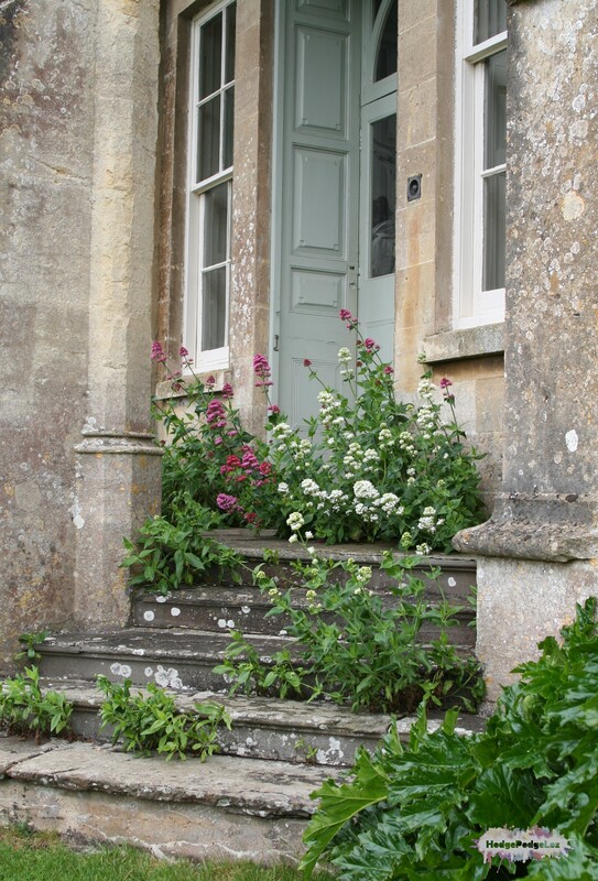 Photograph of steps leading up to a door which are over grown. Taken at Newark Park, South Gloucestershire, England. NAtional Trust property.