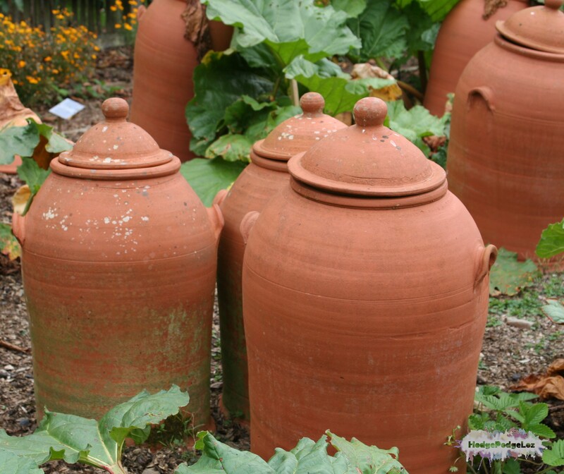 Photograph of terracotta rhubarb pots. 