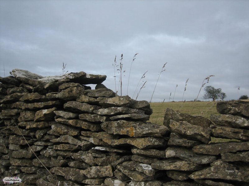 A photograph of a wall in a field in Yorkshire, England
