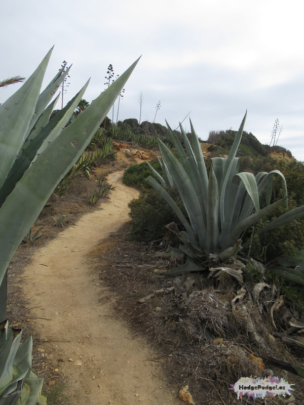 Photograph of a walking trail on the Algarve, Portugal