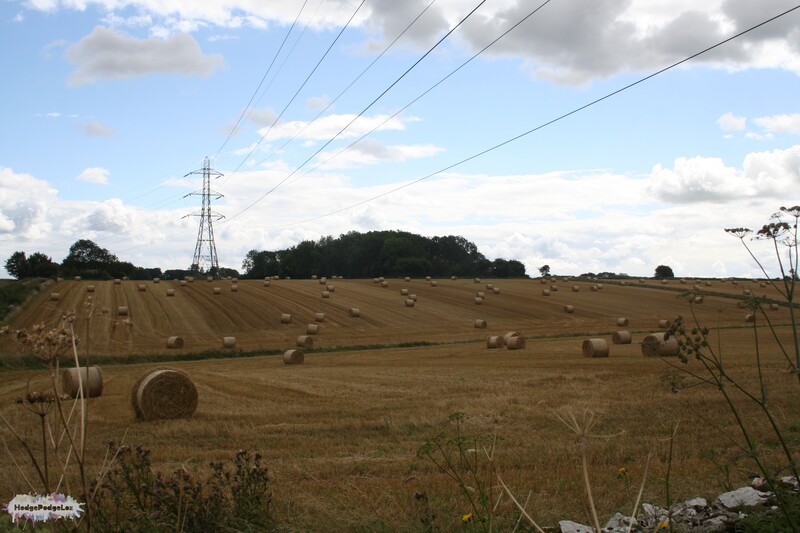 A photograph of a Cotswold landscape, including hay bales, corn field and pylons. England