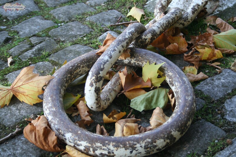 A photograph of an old mooring point and chain with autumn leaves taken in Bristol, England