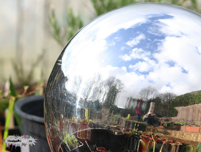 Photograph of  a silver ball with a reflection of the photographer on it